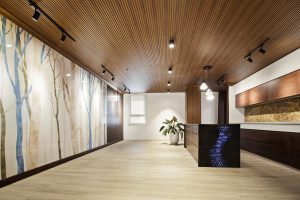 080922.AnPro .Bai2  300x200 - PVC Wall Panels - Trend in interior design 2022